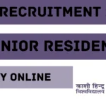 BHU Recruitment 2024
