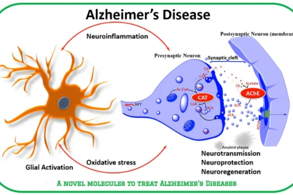 A novel molecules to treat Alzheimer’s Diseases
