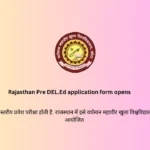 Rajasthan Pre DEL.Ed application form opens