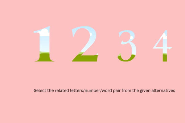 Select the related letters/number/word pair from the given alternatives